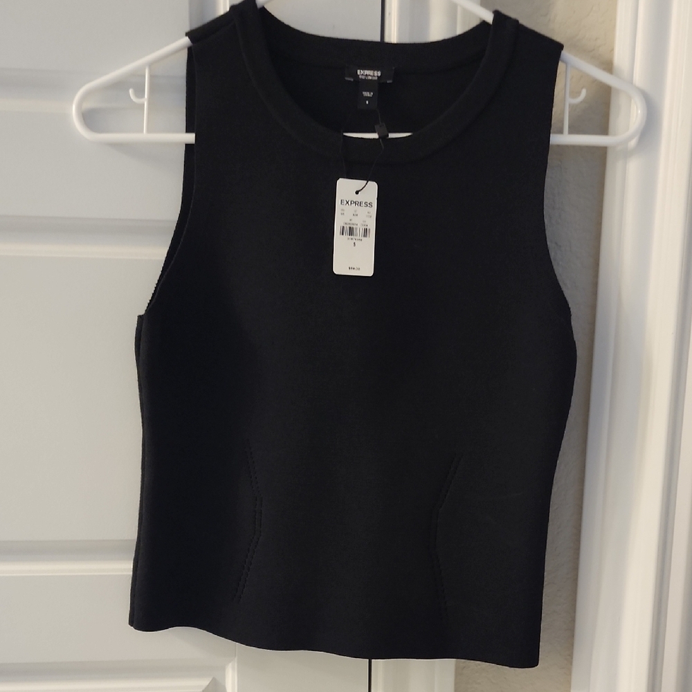 Express Black Fitted Crop Tank Top